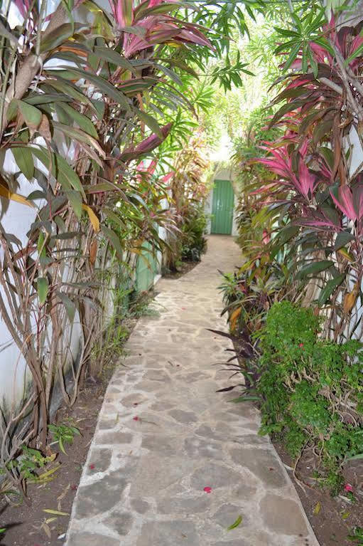 Hotel Aventura Merida Bagian luar foto